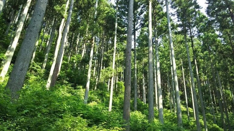 七ヶ宿町森林組合