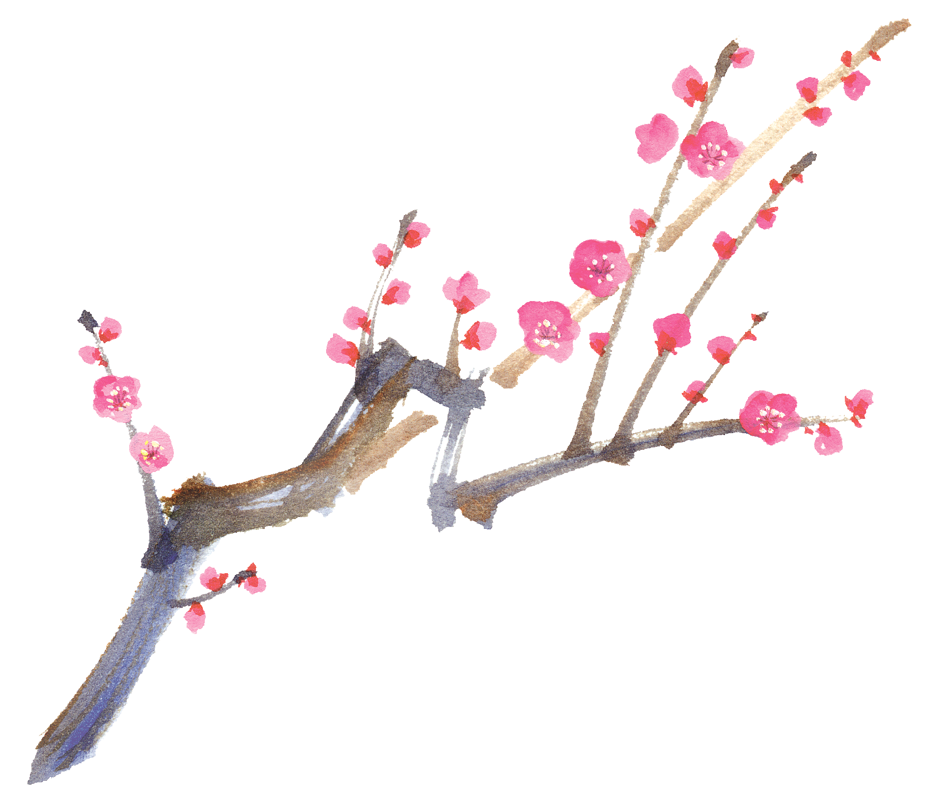 旬の市からお知らせ